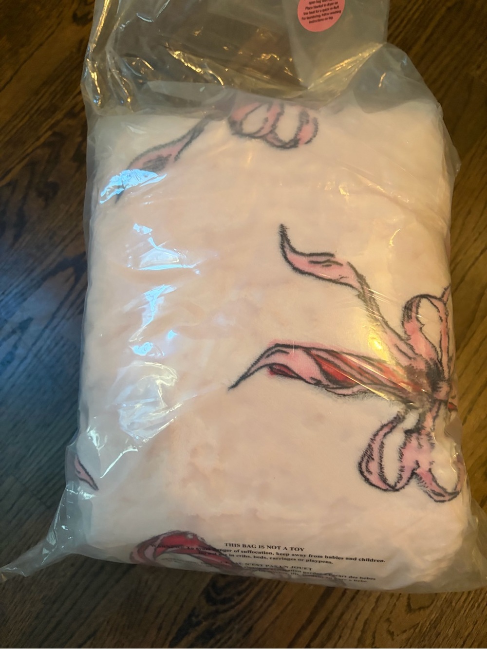 Victoria's Secret Pink Candy Cane Holiday Blanket with Pink Tote - Picture 7 of 7